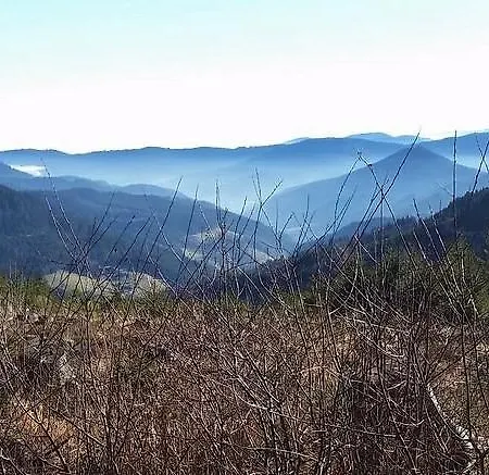 Cafe Gunter クニービス